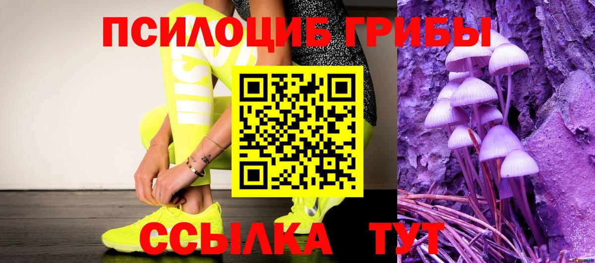 Галлюциногенные грибы Psilocybine cubensis  Вход с VPN  Кимовск  Псилоцибиновые грибы мицелий 