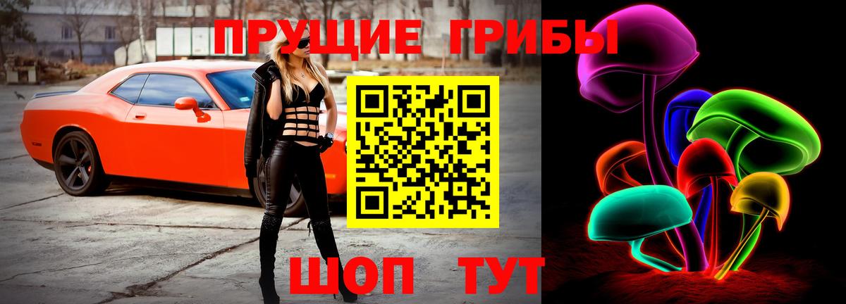 Псилоцибиновые грибы GOLDEN TEACHER Кимовск